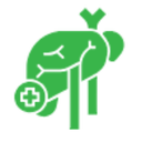 Hepatology