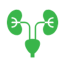 Nephrology